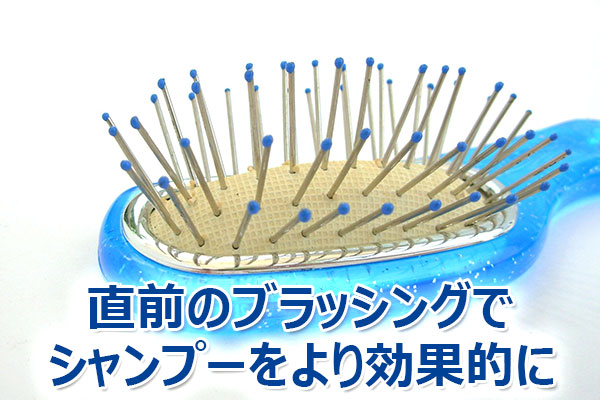 薄毛,対策,シャンプー,効果,方法,育毛