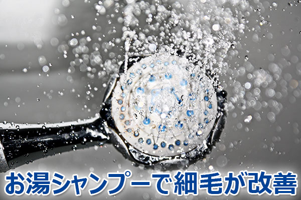 薄毛,対策,シャンプー,効果,方法,育毛